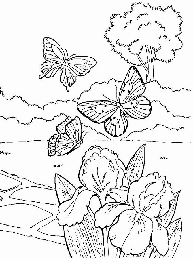 Desenhos da primavera para colorir