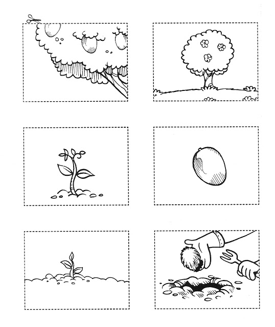 Atividades de Ciências - Plantas e Meio Ambiente