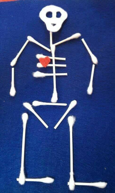 Trabalhando o corpo humano - Esqueleto
