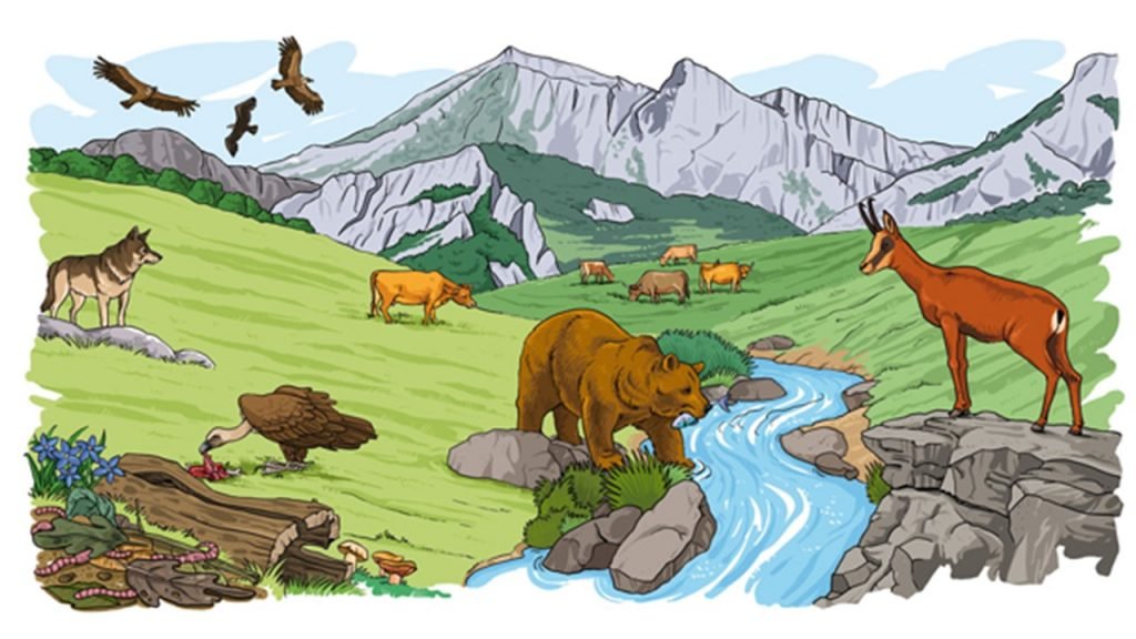 Conjunto De Condições Naturais Que Atuam Sobre Os Seres Vivos