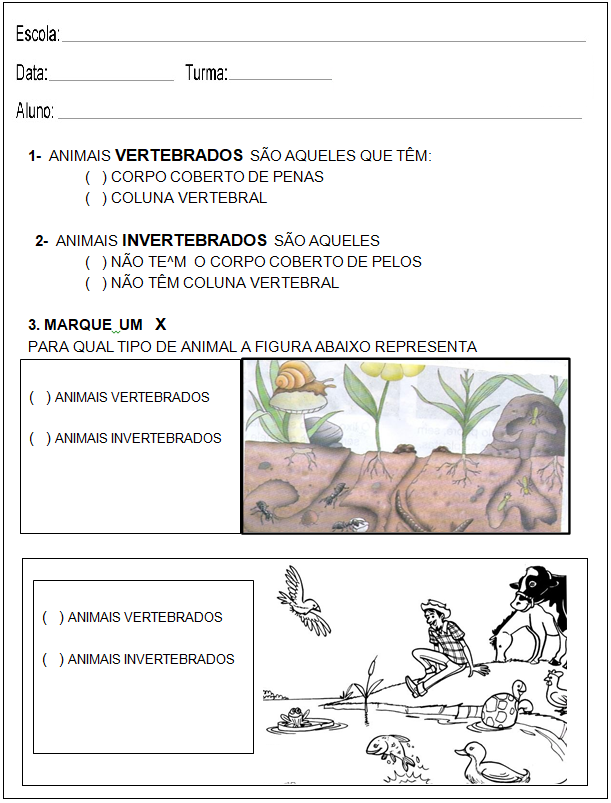 Avaliação Bimestral de Ciências 2 ano