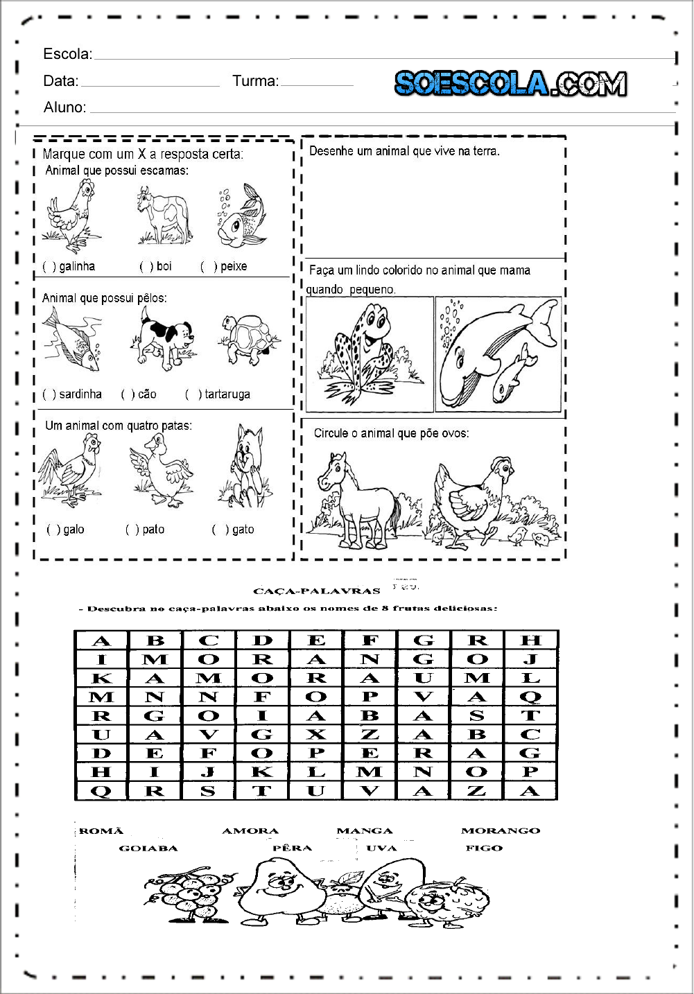 Atividades de Ciências 2 ano do Ensino Fundamental - Para Imprimir.