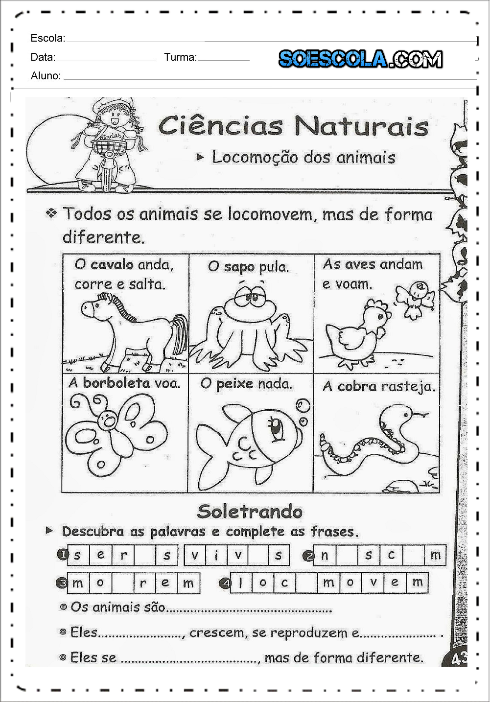 Atividades de Ciências 3 ano do Ensino Fundamental - Para Imprimir.