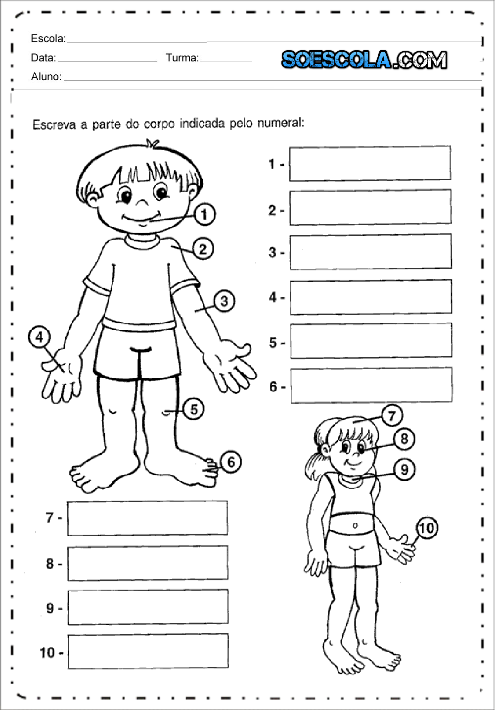 Atividades de Ciências 3 ano do Ensino Fundamental - Para Imprimir.