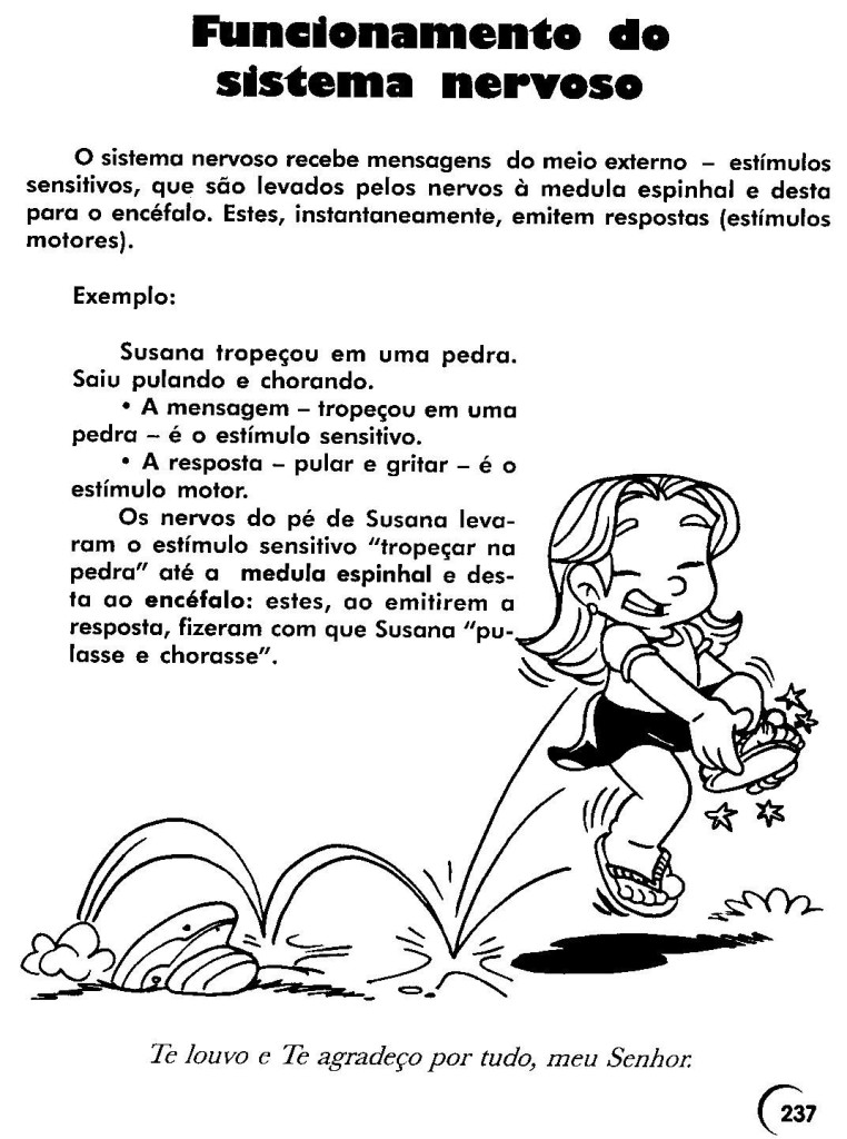 Atividades de Ciências 5 ano do Ensino Fundamental para Imprimir.