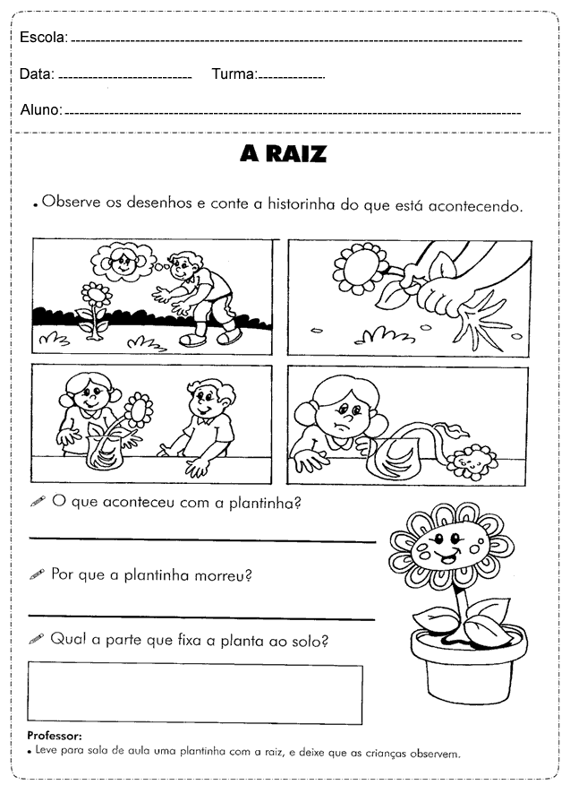 Plano de Aula As plantas 1 ano do Ensino Fundamental - Para Imprimir.