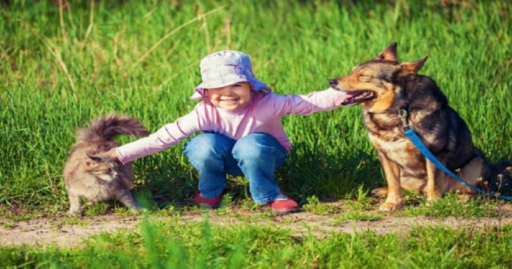 Os animais de estimação são bons para crianças com autismo