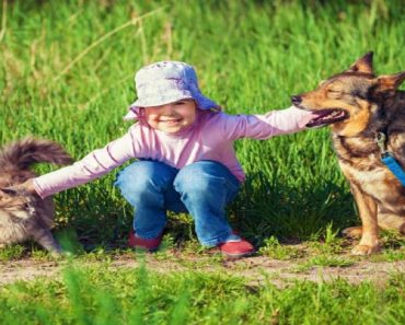 Os animais de estimação são bons para crianças com autismo