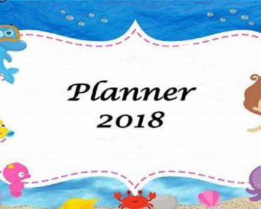 Planner 2018 – Planejamento de Aula –  Mensal, Semanal e Diário