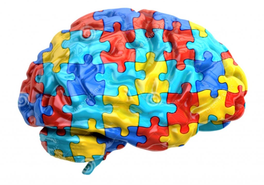 Estudo diz que cérebro de autistas trabalha em velocidade diferente