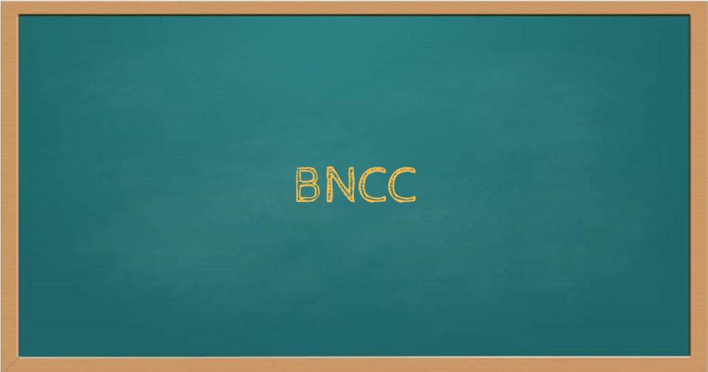 Saiba mais sobre os campos de experiência da BNCC