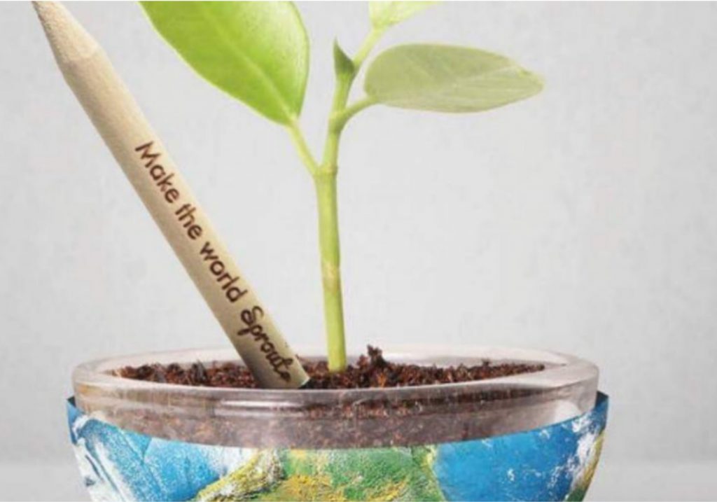 Empresa lança lápis que vira planta depois de usado