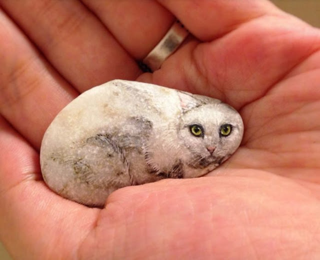 Artista japonesa transforma pedras em adoráveis animais.