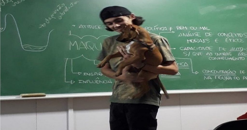Cão chora por atenção e professor viraliza ao dar aula com ele no colo: 'Fofo'