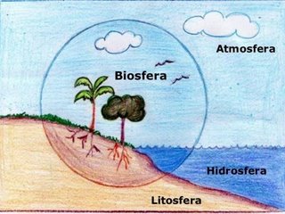 A biosfera e o ciclo natural da matéria no planeta