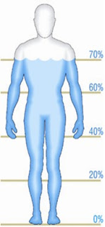 O equilíbrio hídrico - o equilíbrio de água (matéria) no corpo humano