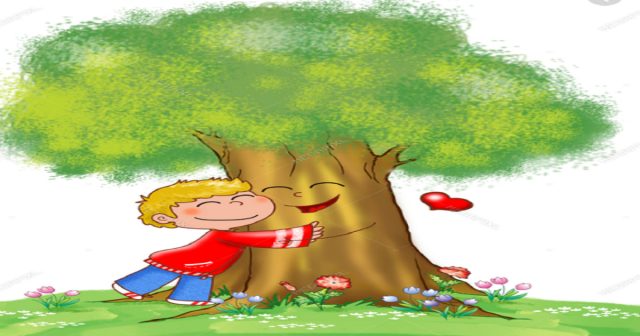 A ÁRVORE E O MENINO A ÁRVORE E O MENINO