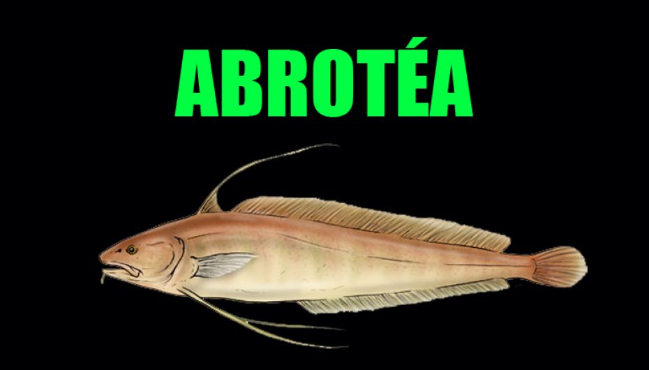 Abrótea - Animal com A
