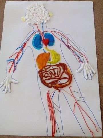 Ideias e Manualidade das partes do Corpo Humano - Imagem 02