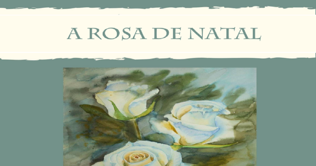 CAPA | A Rosa de Natal de Selma Lagerlöf